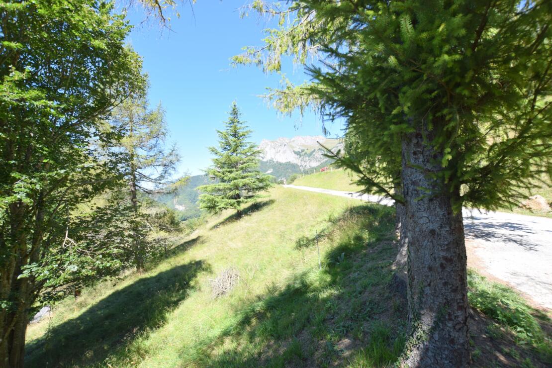 Boutx – Spacious mountain home & independent apartment, stunning views & flexible rental potential – 10 mins to skiing