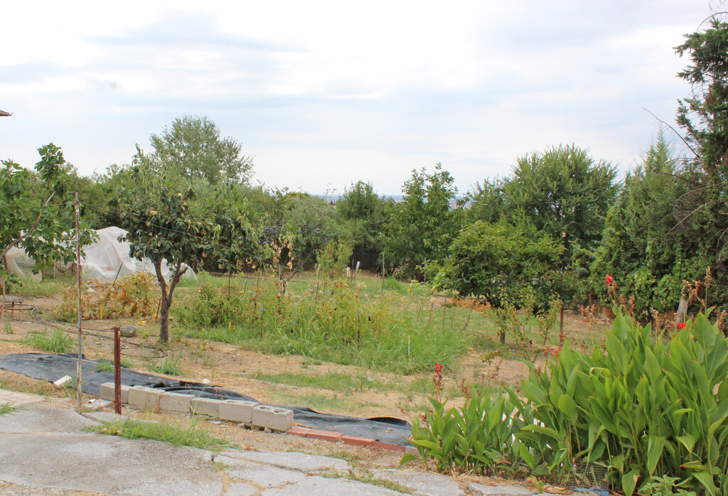 Land in Elafina, Pieria Prefecture, Greece – 66713