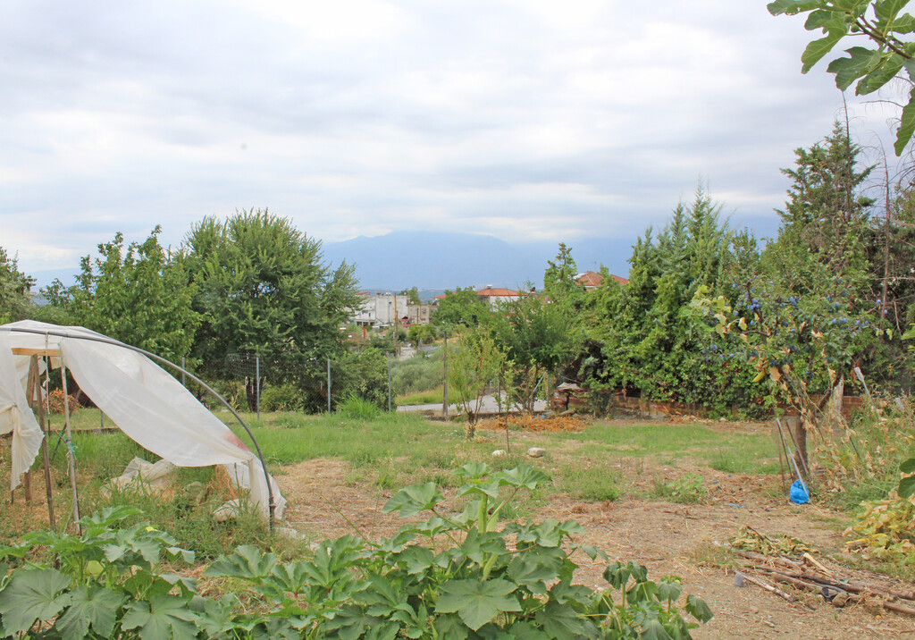 Land in Elafina, Pieria Prefecture, Greece – 66713