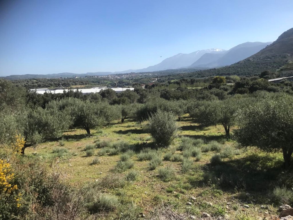 Land in Tilisos, Heraklion Prefecture, Greece – 50051