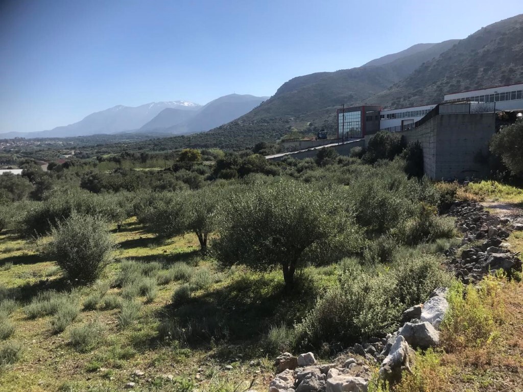 Land in Tilisos, Heraklion Prefecture, Greece – 50051