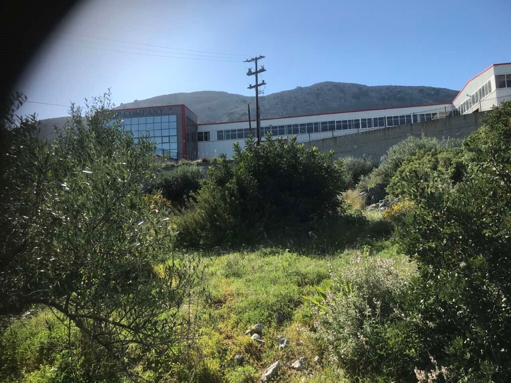 Land in Tilisos, Heraklion Prefecture, Greece – 50051