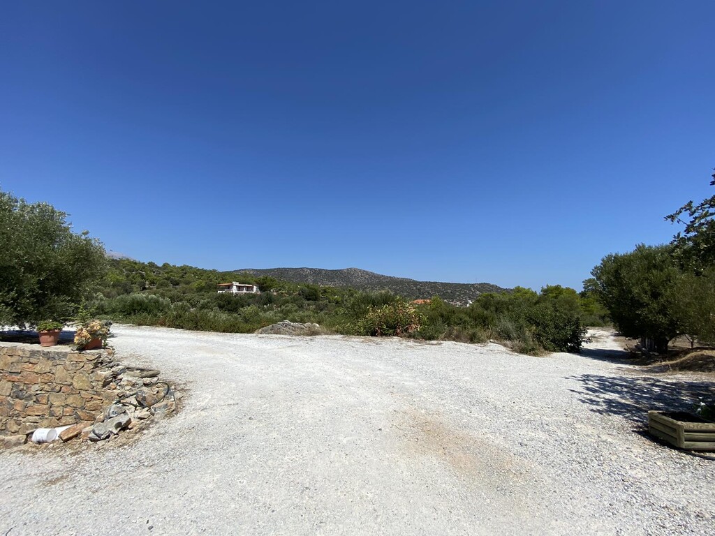 Business in Agios Nikolaos, Lasithi Prefecture, Greece – 50036