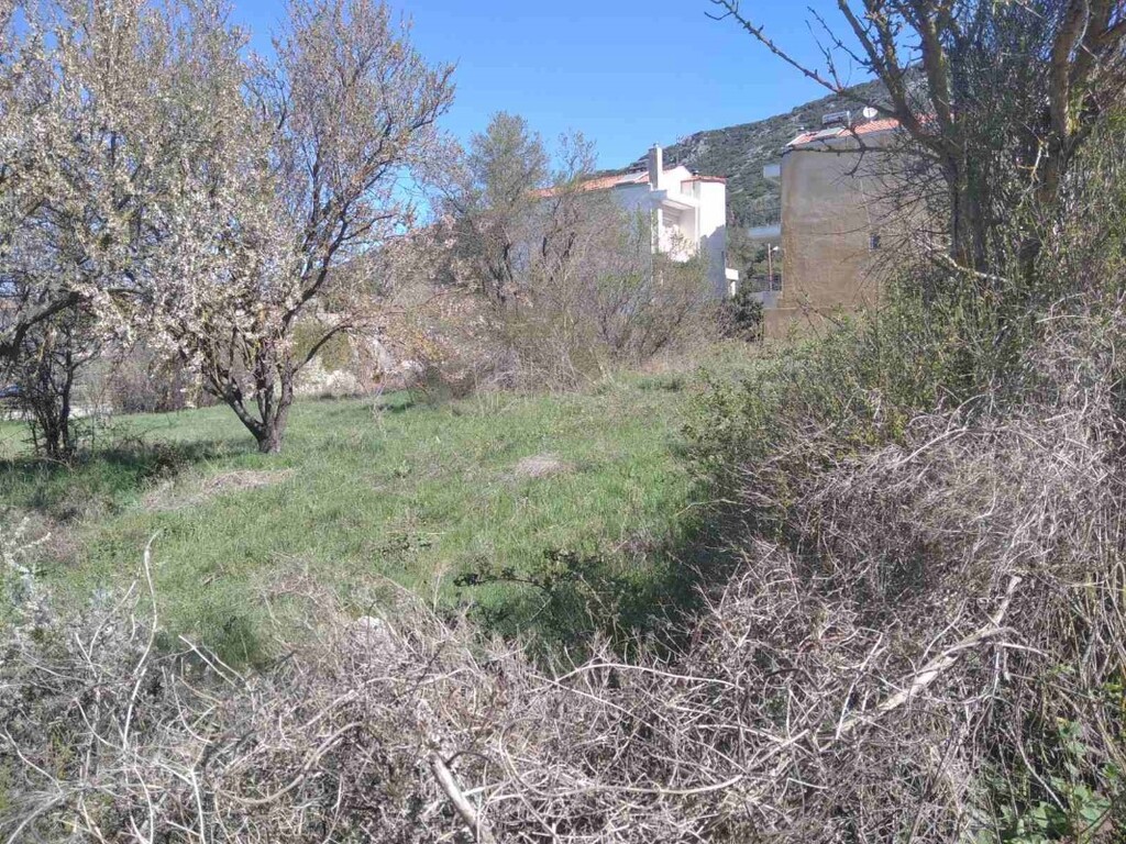 Land in Chortiatis, Thessaloniki – Suburbs, Greece – 49960