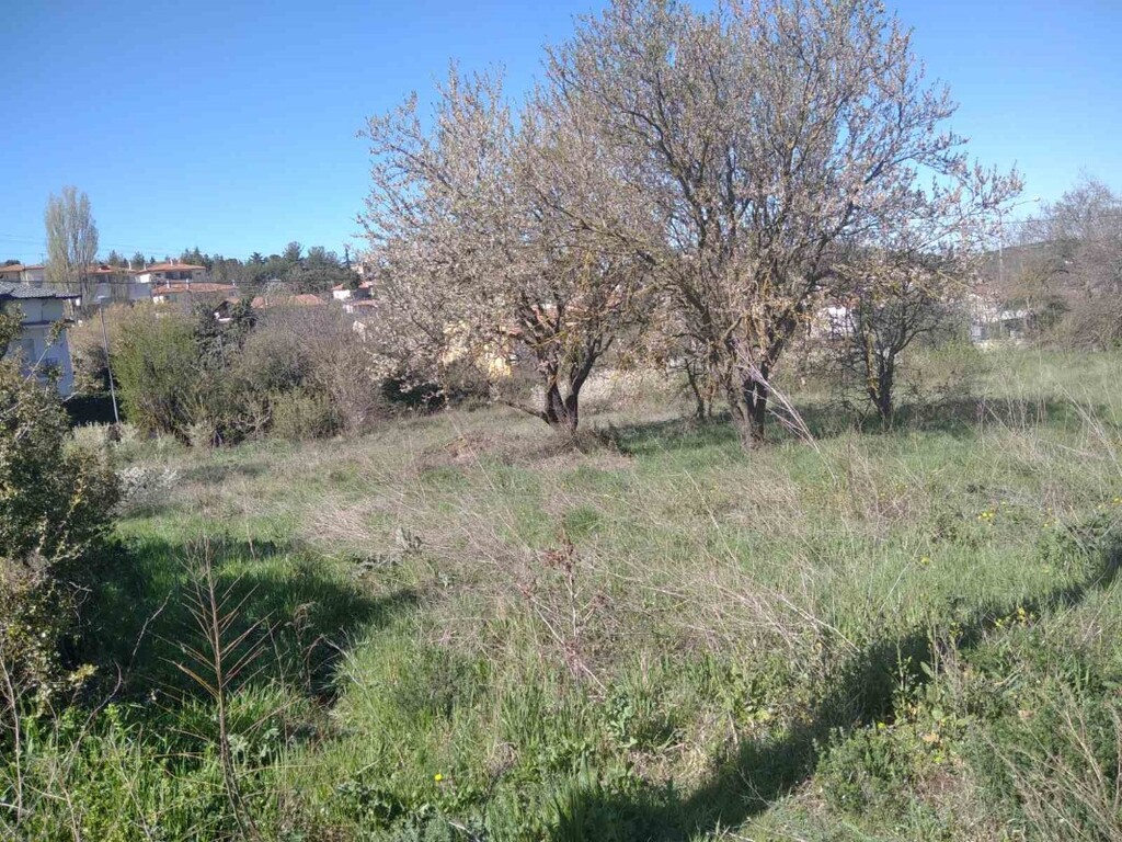Land in Chortiatis, Thessaloniki – Suburbs, Greece – 49960