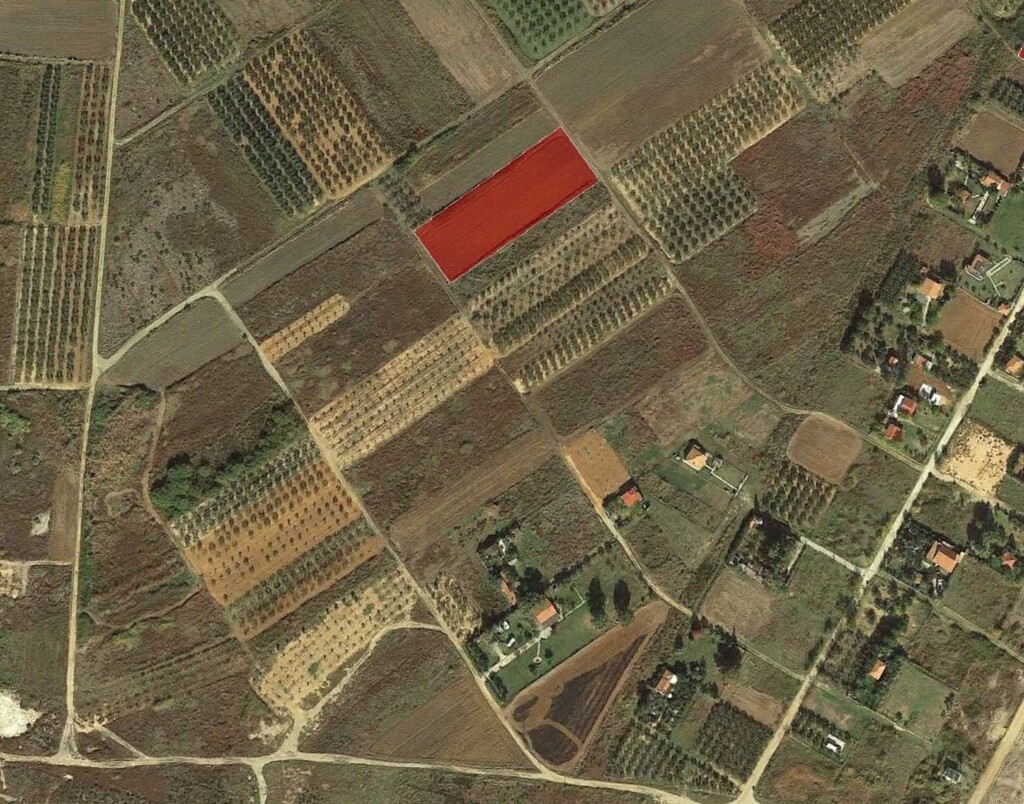 Land in Kassandra, Chalkidiki, Greece – 49901