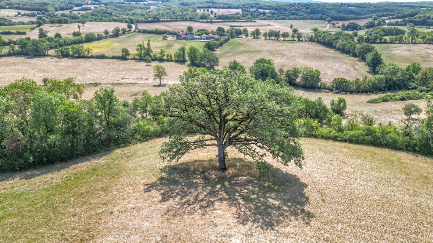 6 bedroom chateau in Parisot, Tarn-et-Garonne, France