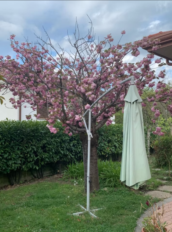 Rent to Buy – Former Home of Renowned Italian Fashion Designer Emidio Tucci -No Mortgage 0% interest Two Residences
