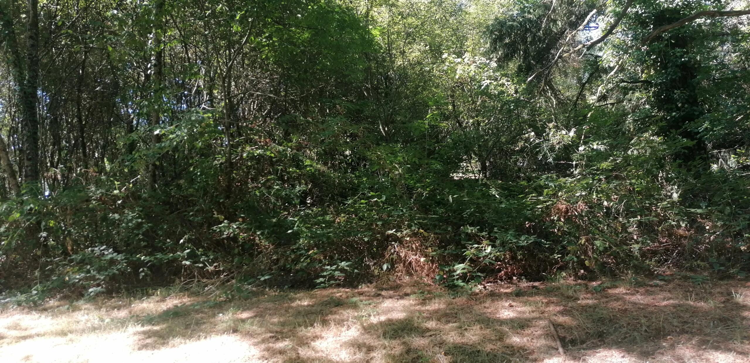 Fenced 1810 m² plot for sale in Piégut-Pluviers, Aquitaine – France – BVI86499