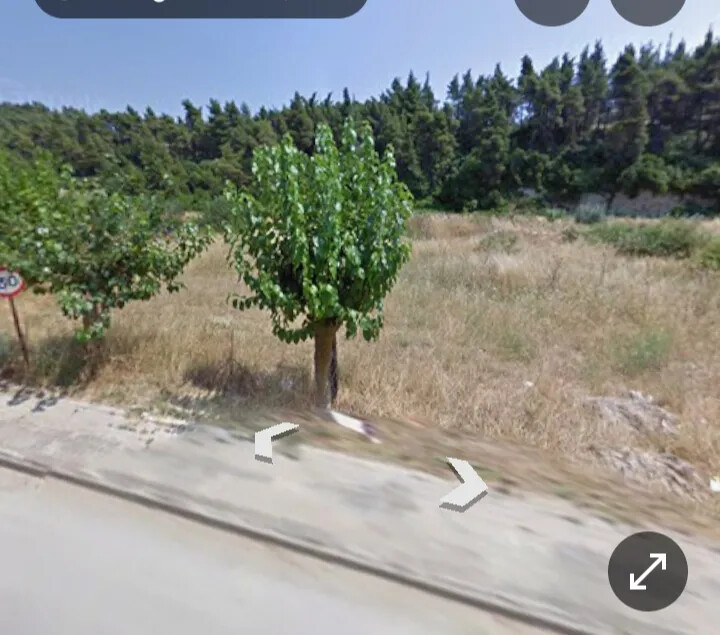 Land in Kassandra, Chalkidiki, Greece – 66754