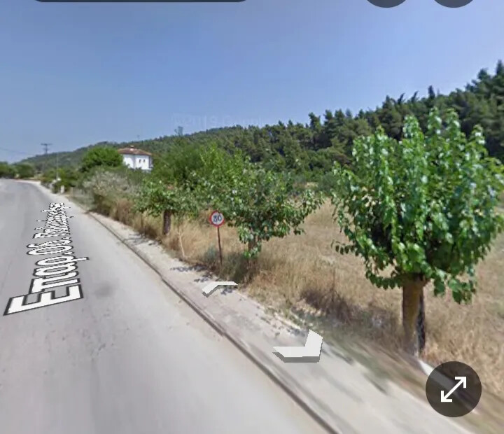 Land in Kassandra, Chalkidiki, Greece – 66754