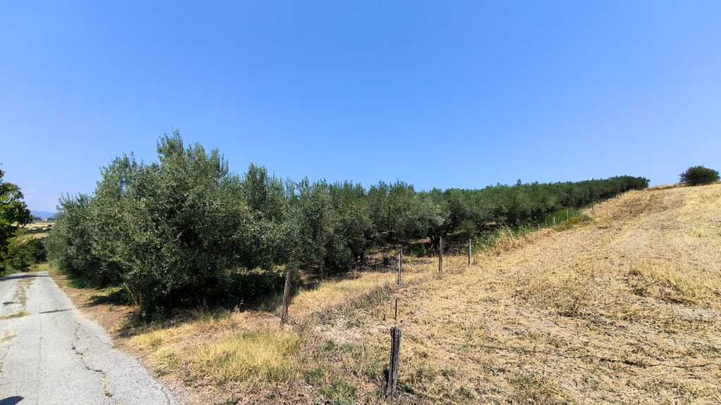 Land in Katerini, Pieria Prefecture, Greece – 66741