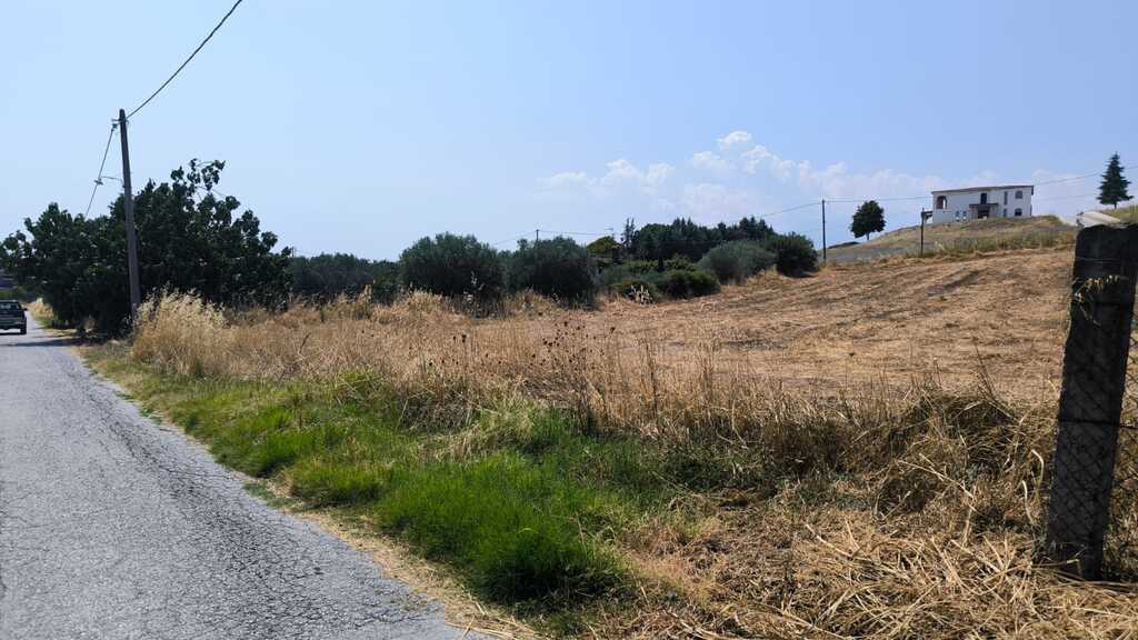Land in Katerini, Pieria Prefecture, Greece – 66740