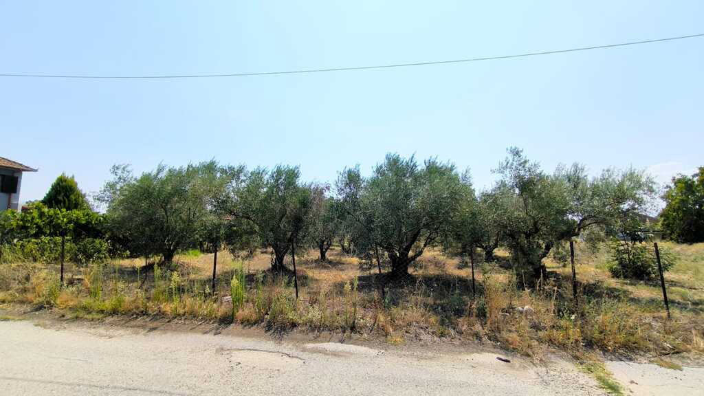 Land in Katerini, Pieria Prefecture, Greece – 66738