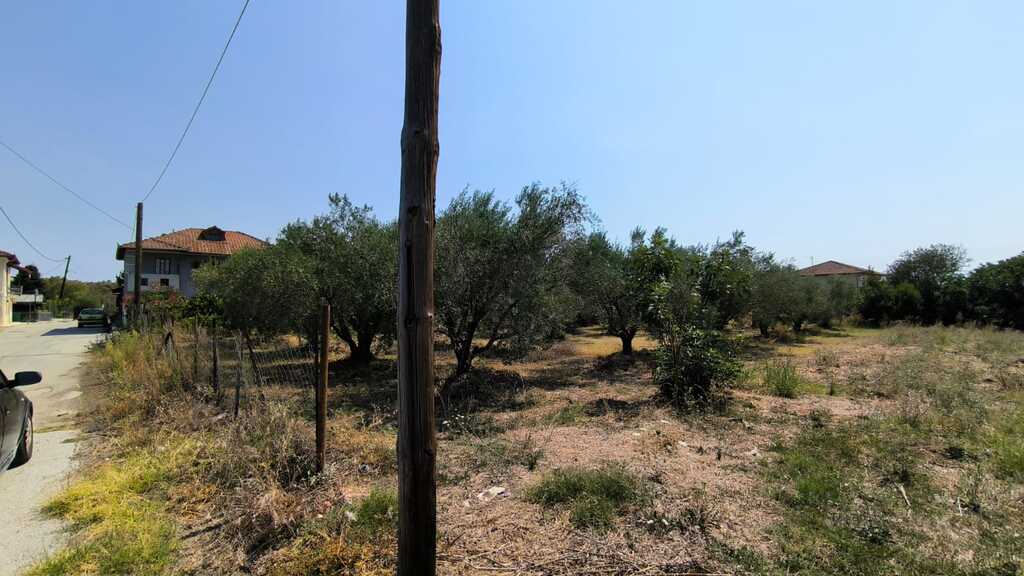 Land in Katerini, Pieria Prefecture, Greece – 66738