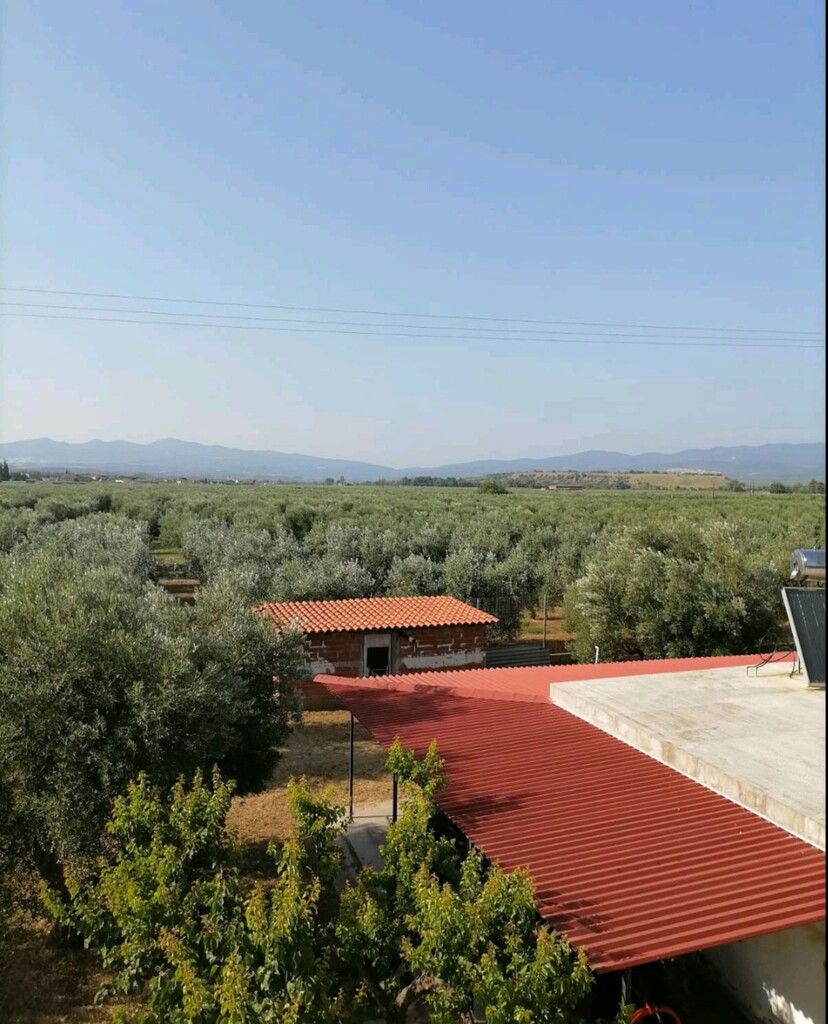 Complex in Poligiros, Chalkidiki, Greece – 66732