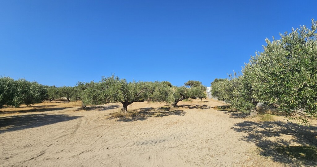 Land in Gouves, Heraklion Prefecture, Greece – 66729