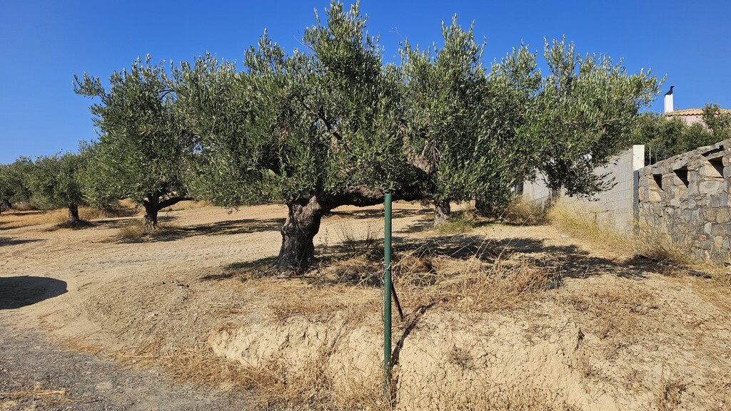 Land in Gouves, Heraklion Prefecture, Greece – 66729