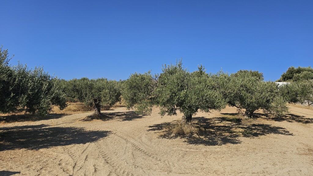 Land in Gouves, Heraklion Prefecture, Greece – 66729