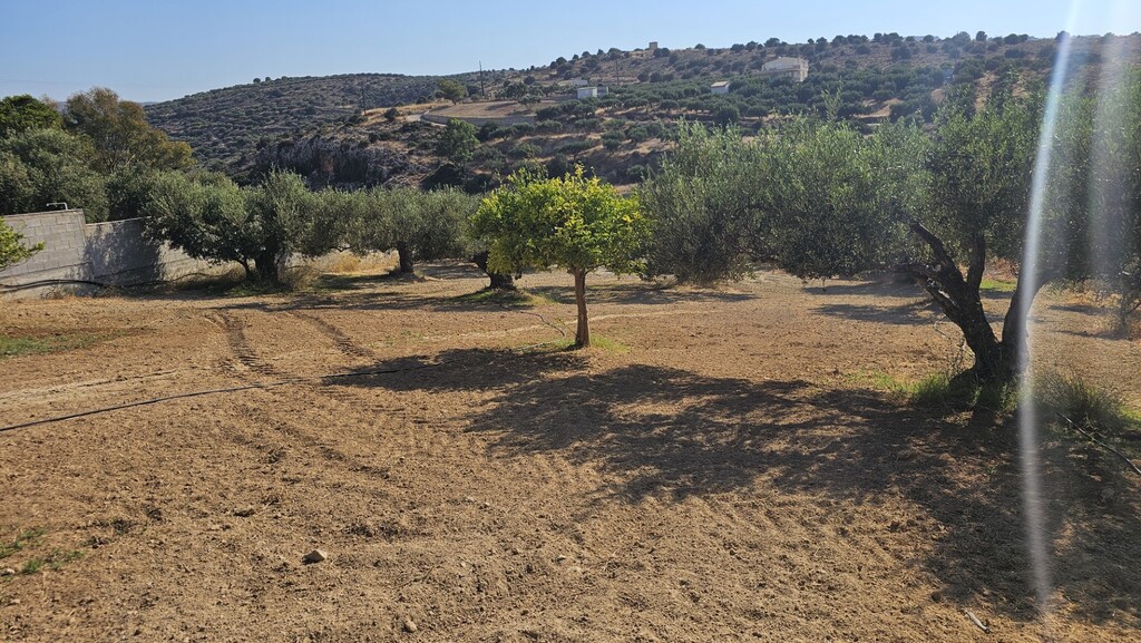 Land in Gouves, Heraklion Prefecture, Greece – 66729