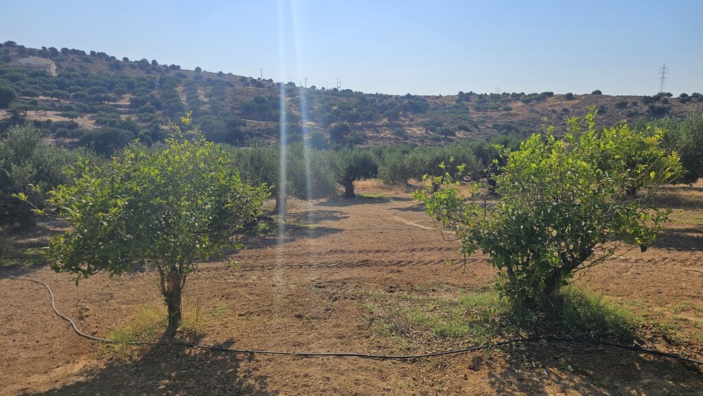 Land in Gouves, Heraklion Prefecture, Greece – 66729