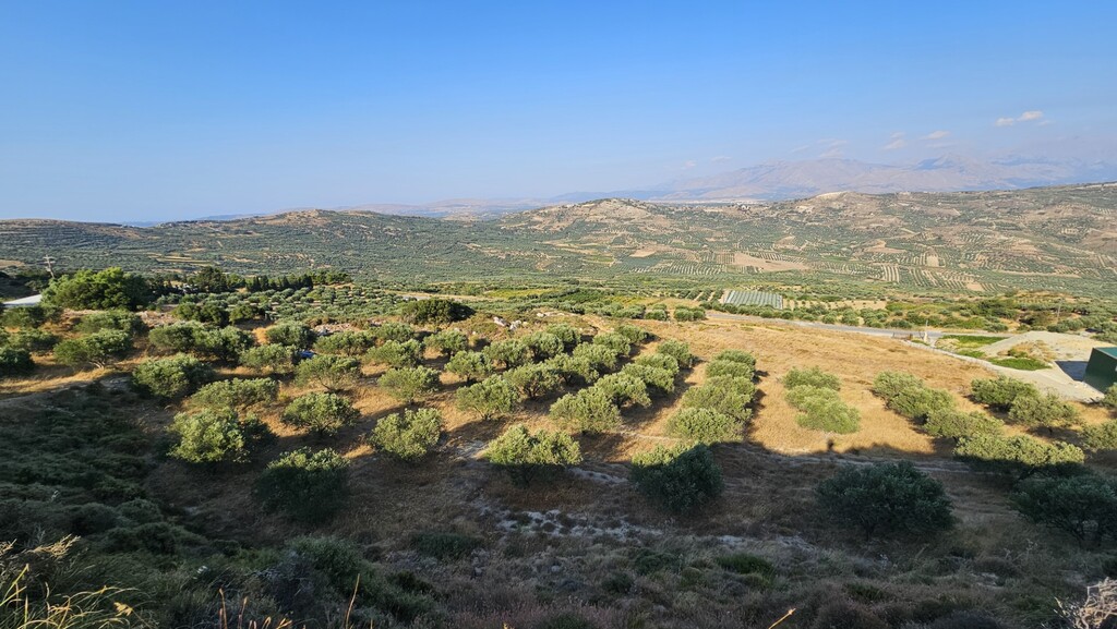 Land in Arkalochori, Heraklion Prefecture, Greece – 66728