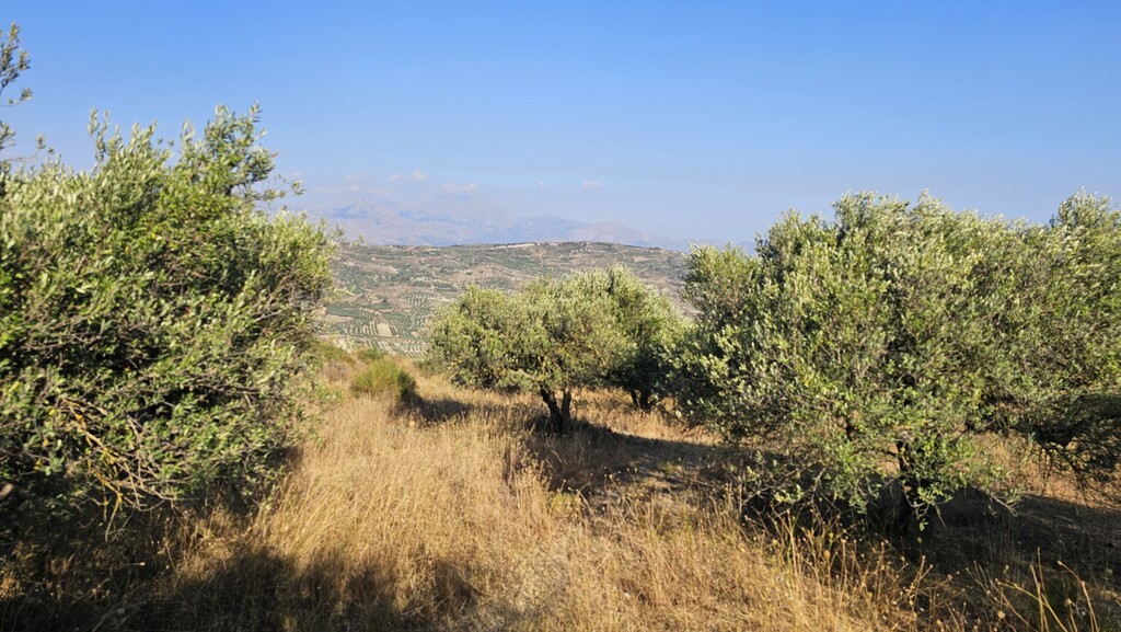 Land in Arkalochori, Heraklion Prefecture, Greece – 66728