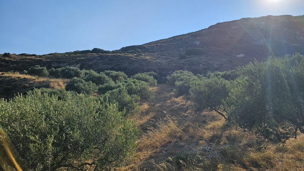 Land in Arkalochori, Heraklion Prefecture, Greece – 66728