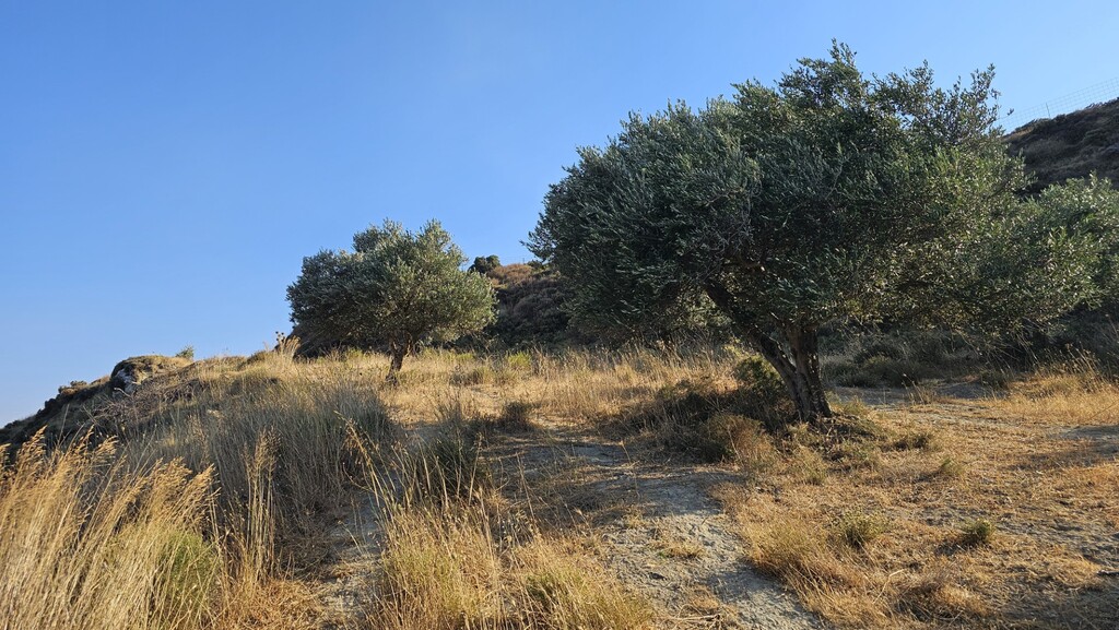 Land in Arkalochori, Heraklion Prefecture, Greece – 66728
