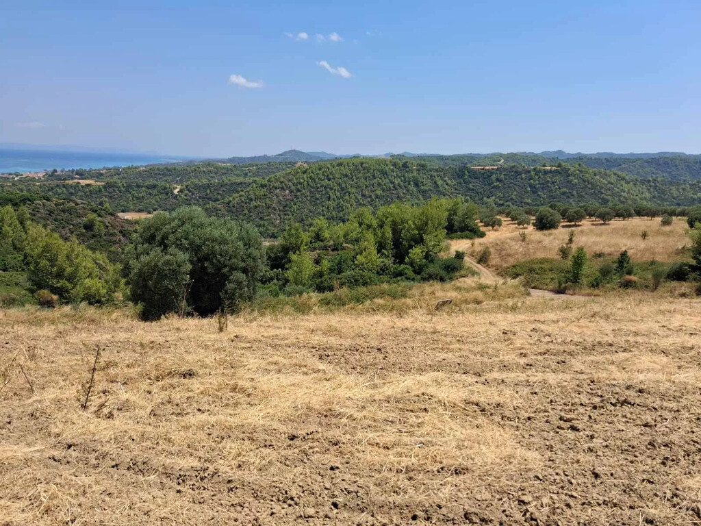 Land in Kassandra, Chalkidiki, Greece – 66727