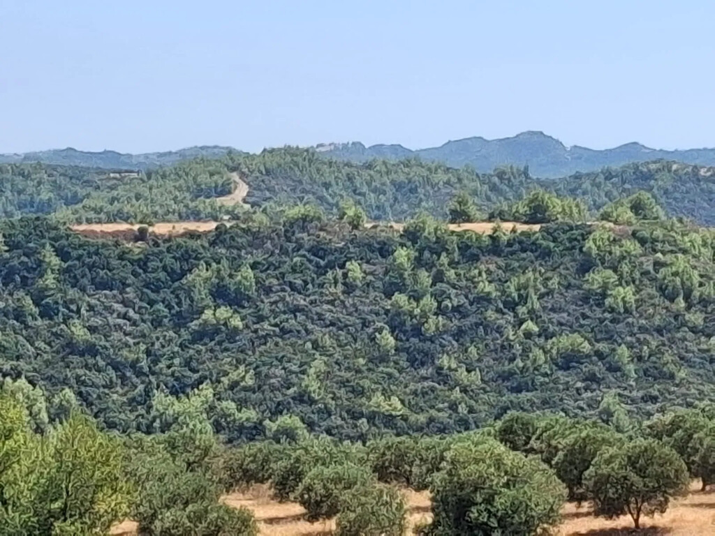 Land in Kassandra, Chalkidiki, Greece – 66727