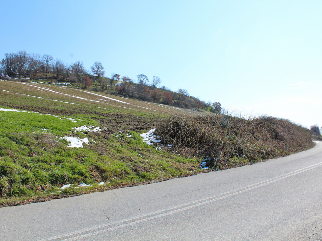 Land in Pidna, Pieria Prefecture, Greece – 49867