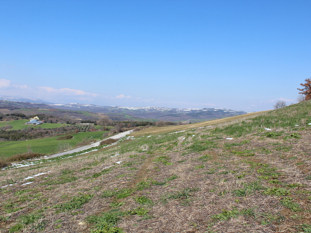 Land in Pidna, Pieria Prefecture, Greece – 49867