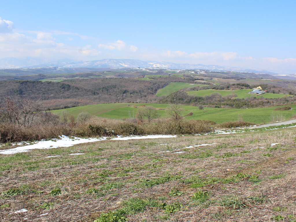 Land in Pidna, Pieria Prefecture, Greece – 49867