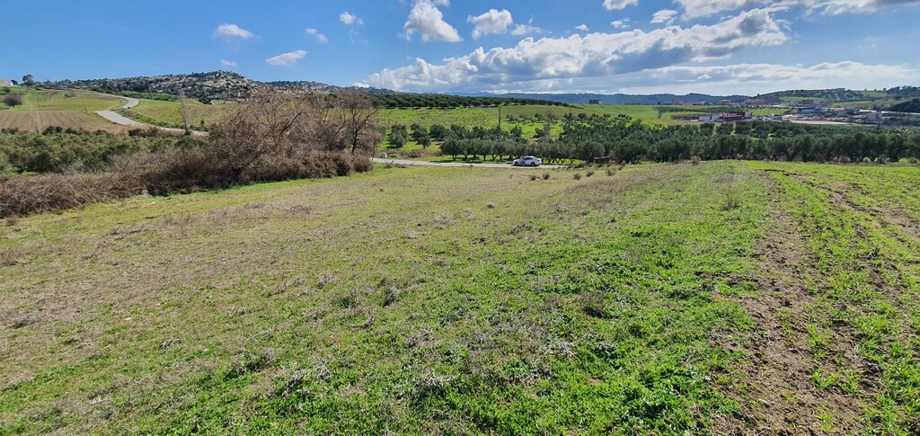 Land in Sithonia, Chalkidiki, Greece – 49798