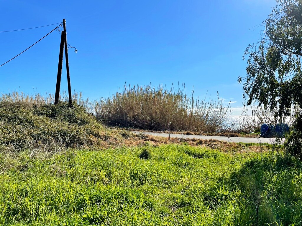 Land in Corfu, Corfu Prefecture, Greece – 49797