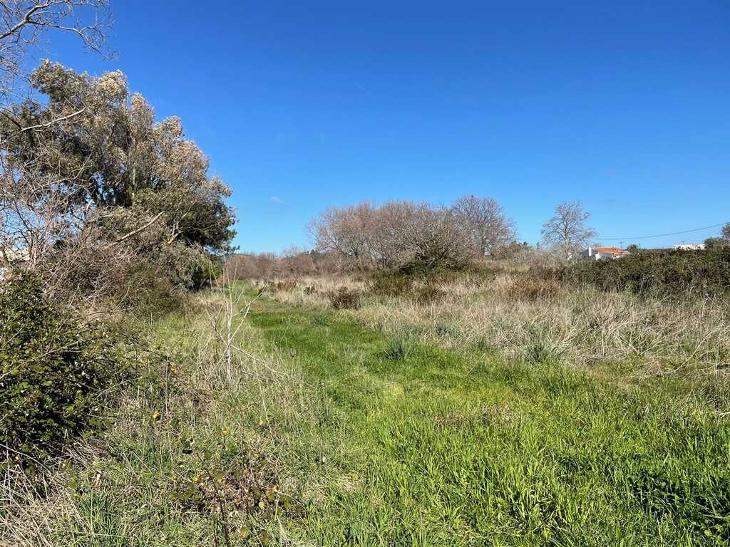 Land in Corfu, Corfu Prefecture, Greece – 49797