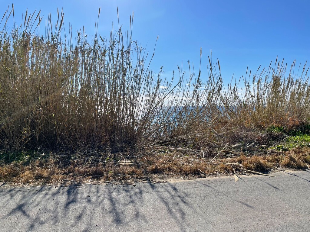 Land in Corfu, Corfu Prefecture, Greece – 49797