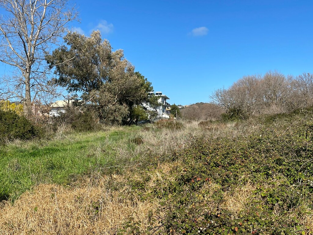 Land in Corfu, Corfu Prefecture, Greece – 49797