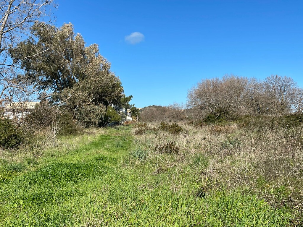 Land in Corfu, Corfu Prefecture, Greece – 49797