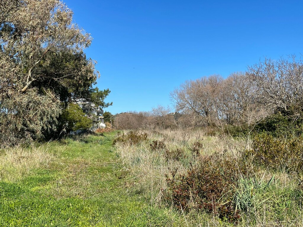 Land in Corfu, Corfu Prefecture, Greece – 49797