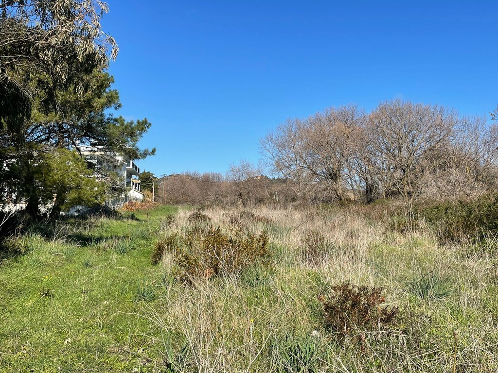 Land in Corfu, Corfu Prefecture, Greece – 49797
