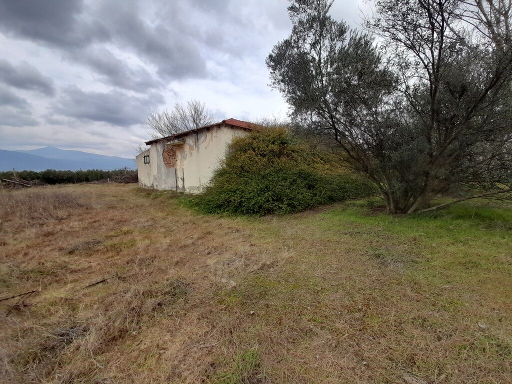 Commercial property in Vasilika, Thessaloniki – Suburbs, Greece – 49721