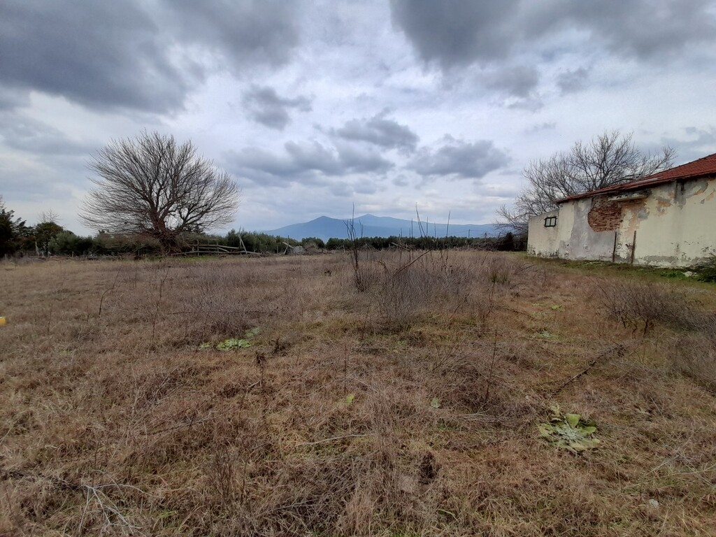 Commercial property in Vasilika, Thessaloniki – Suburbs, Greece – 49721