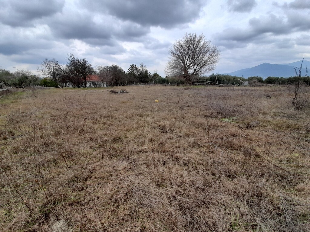 Commercial property in Vasilika, Thessaloniki – Suburbs, Greece – 49721