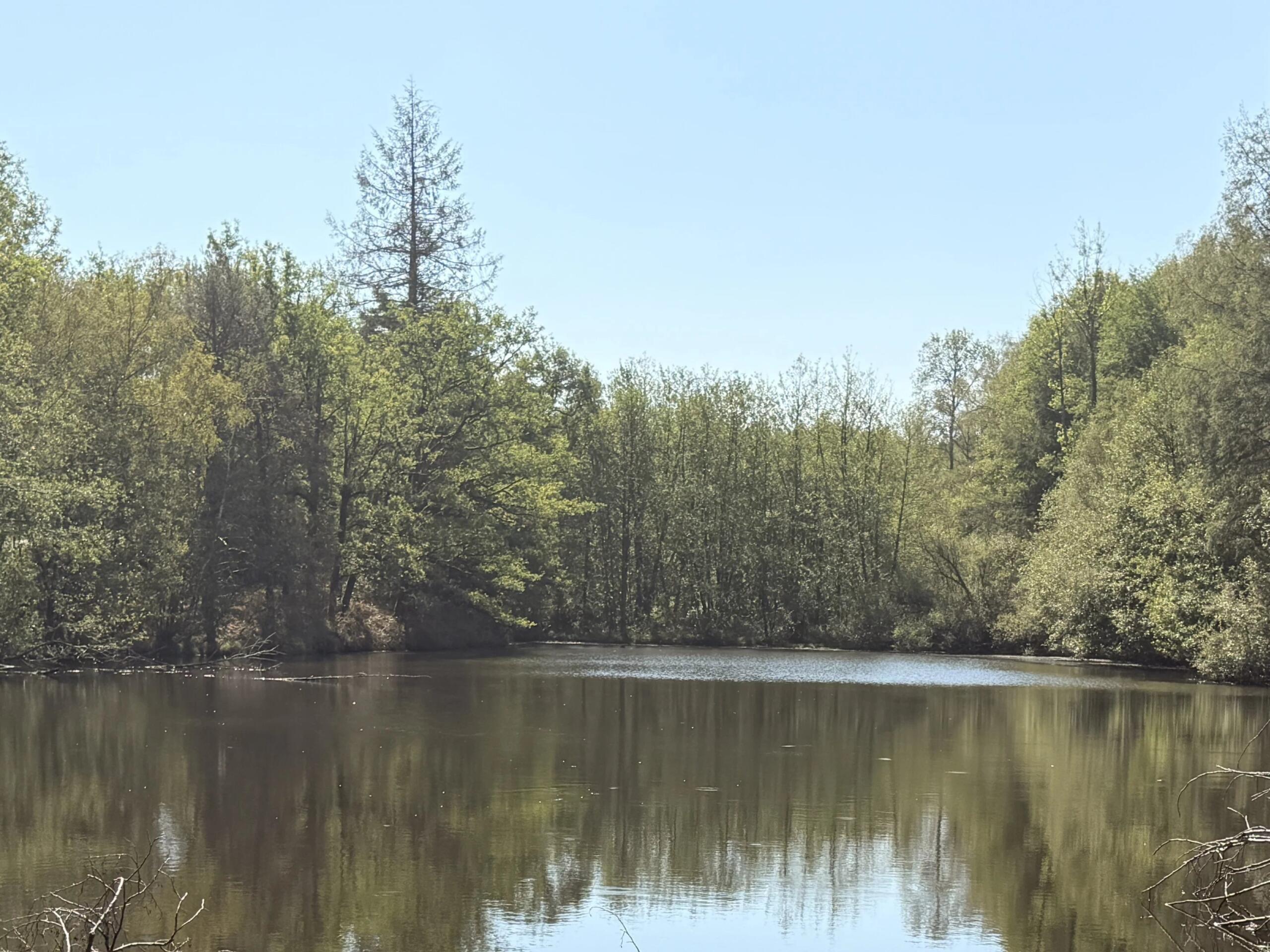 Private Leisure and Fishing Lake with Woodland near Montrollet, Poitou-Charentes – France – BVI85676