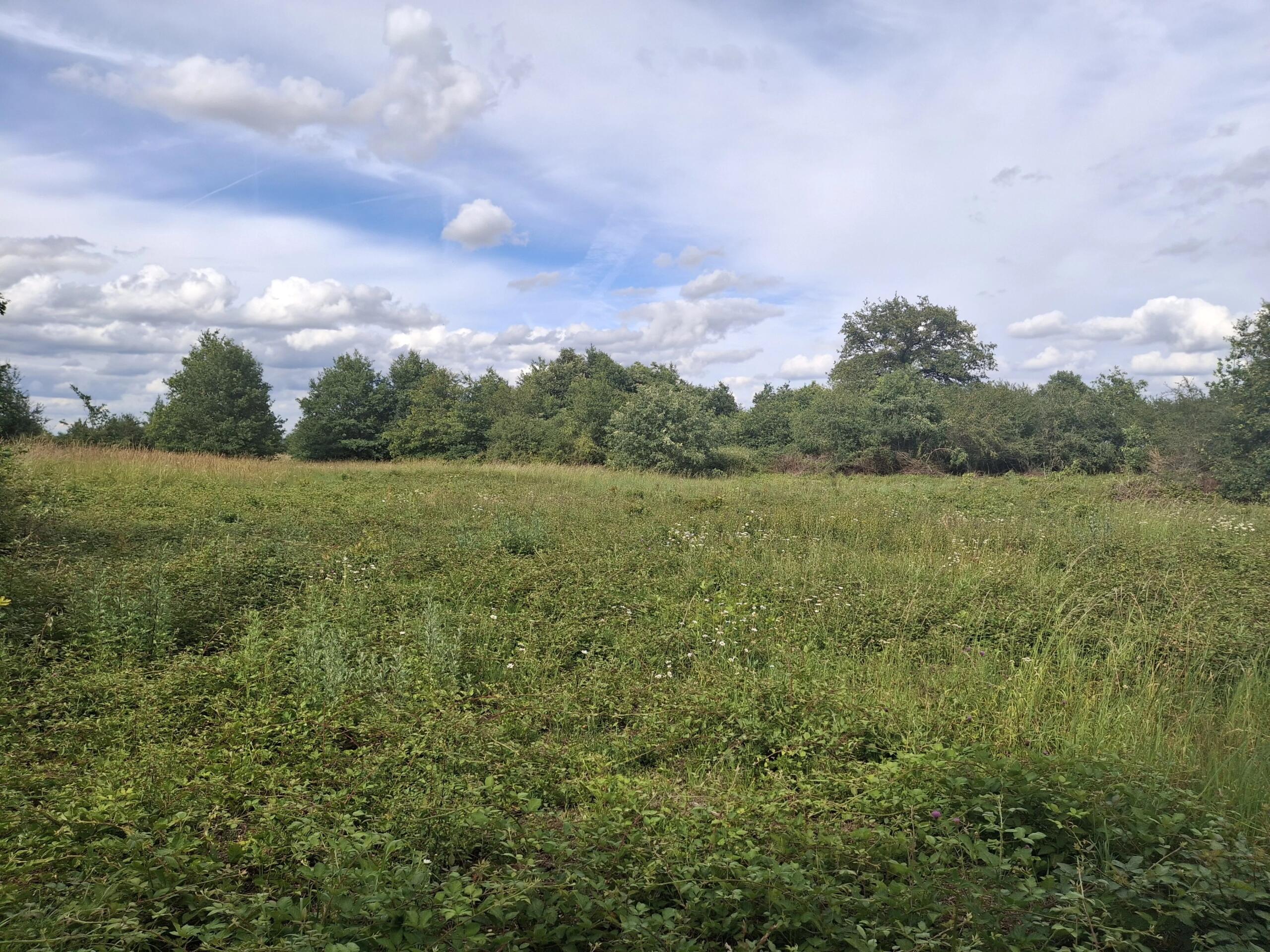Commercial Plot with building to renovate – Outskirts of Bellac, Limousin – France – BVI86303
