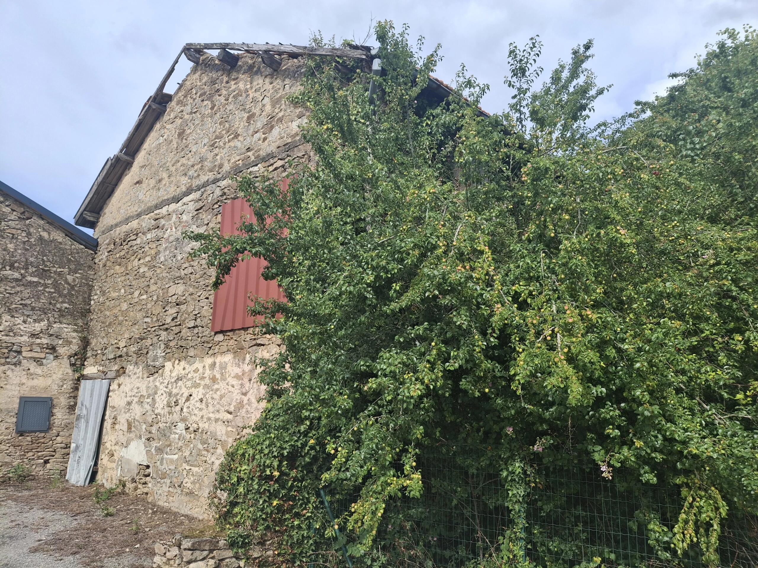 Commercial Plot with building to renovate – Outskirts of Bellac, Limousin – France – BVI86303