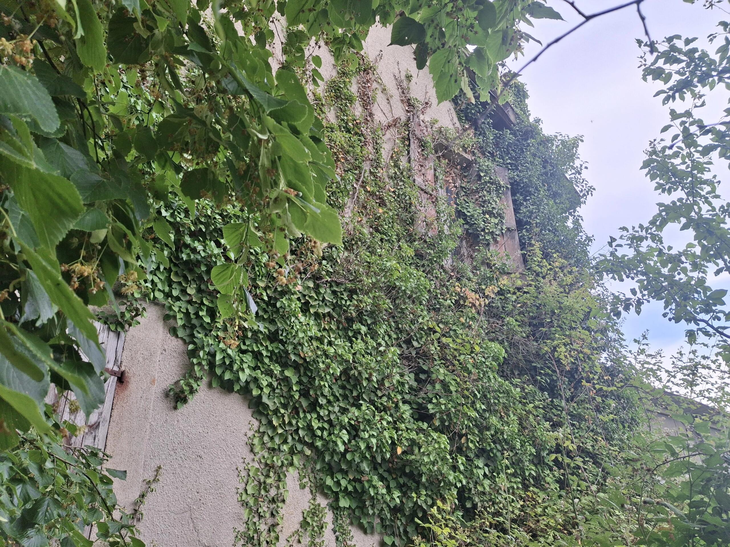 Commercial Plot with building to renovate – Outskirts of Bellac, Limousin – France – BVI86303