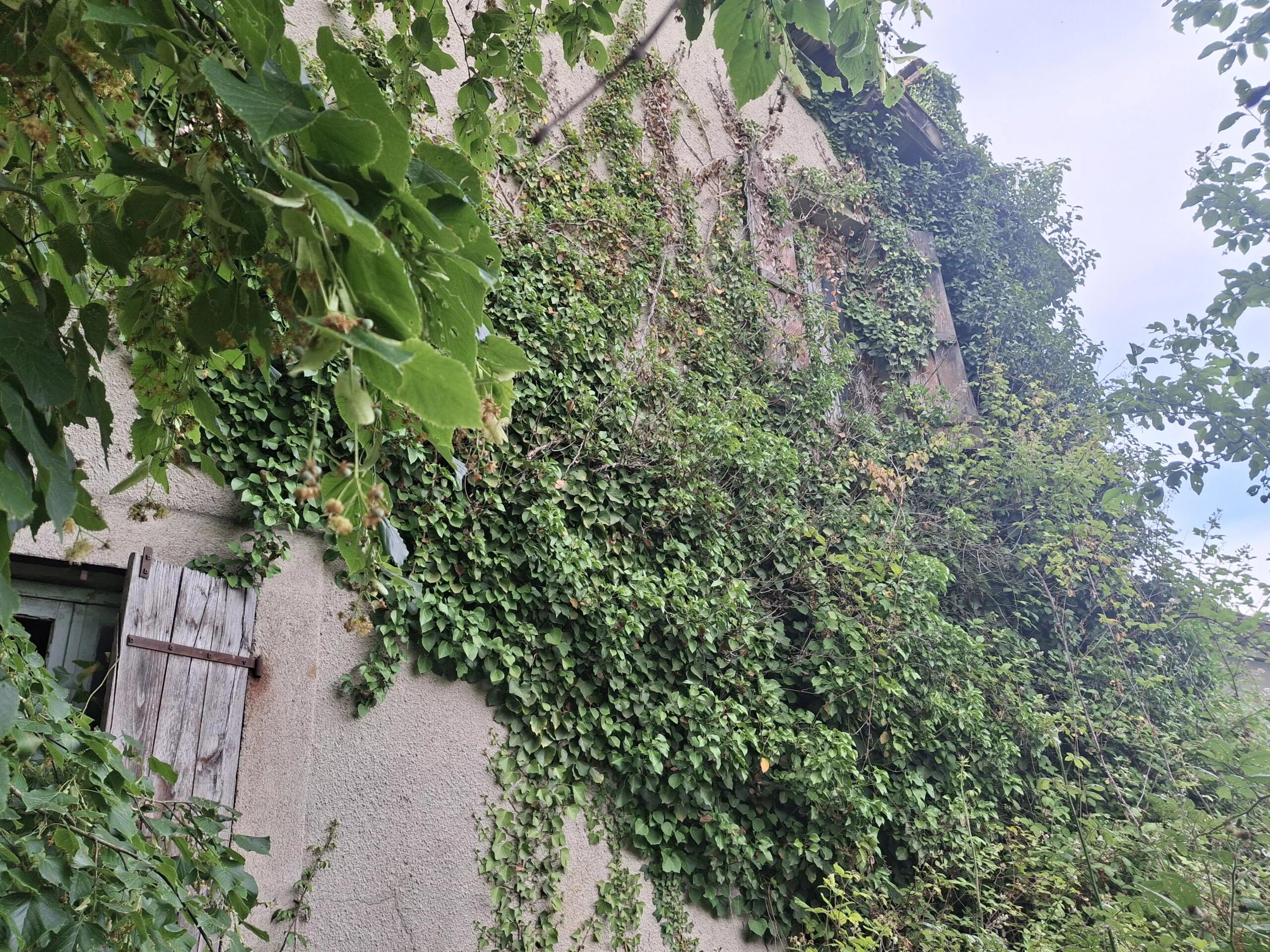 Commercial Plot with building to renovate – Outskirts of Bellac, Limousin – France – BVI86303